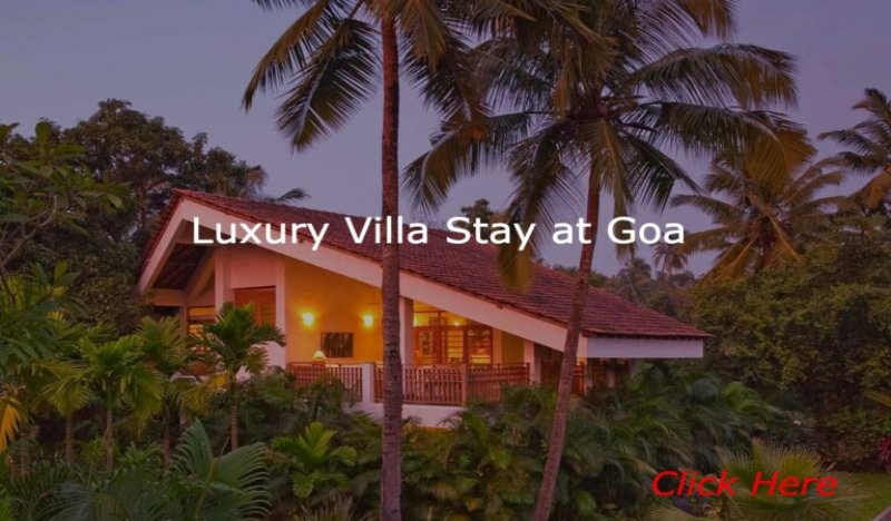 Luxury villa stay at goa