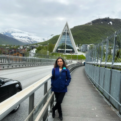 Bridge to the artic cathedral