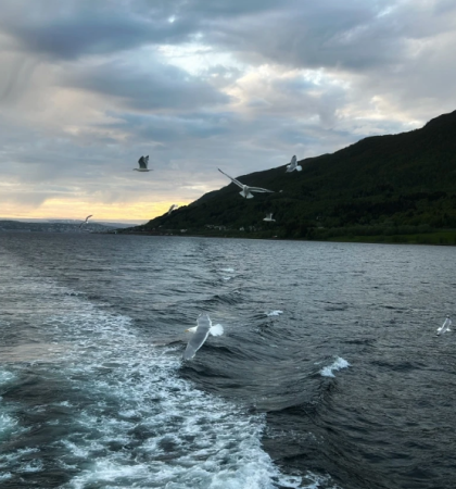 Midnight cruise @ Tromsø